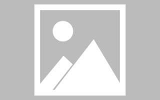 兰考网页设计英文默认字体（网页设置英文转换中文）